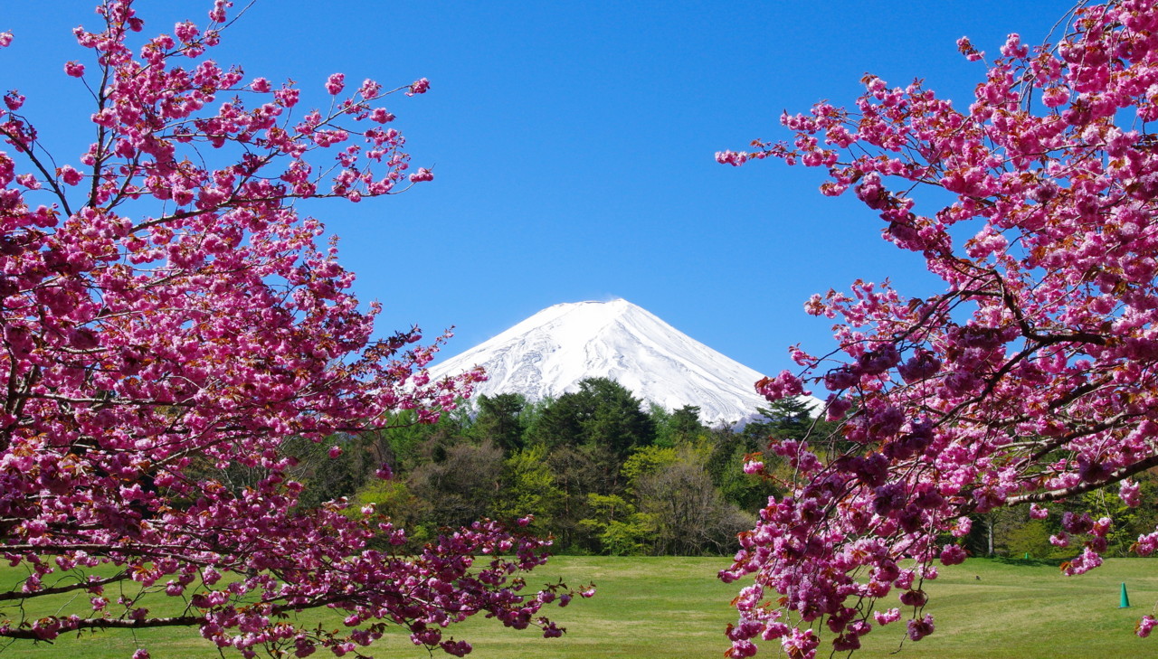 富士山画像記録