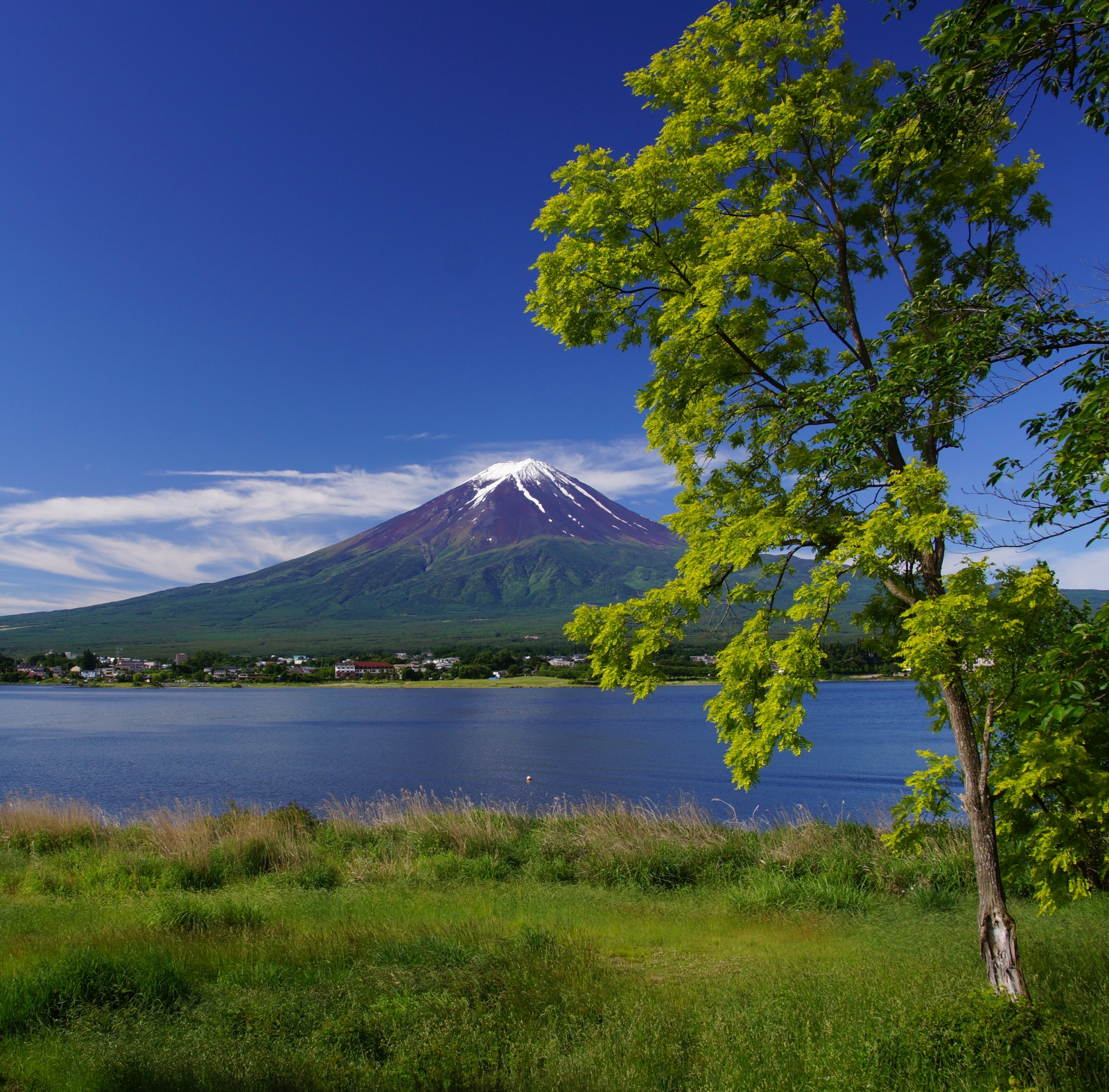 富士山画像作品