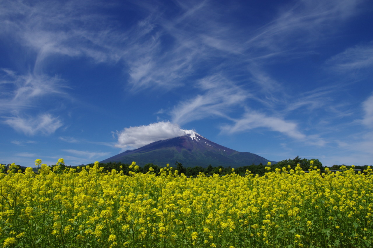 富士山画像記録