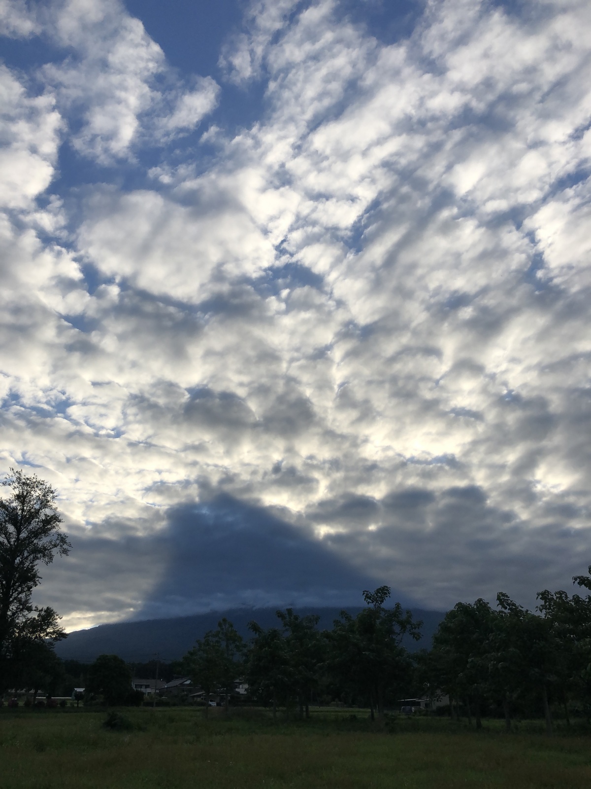 富士山画像記録