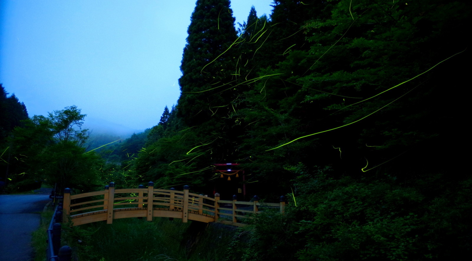 富士山周辺風景