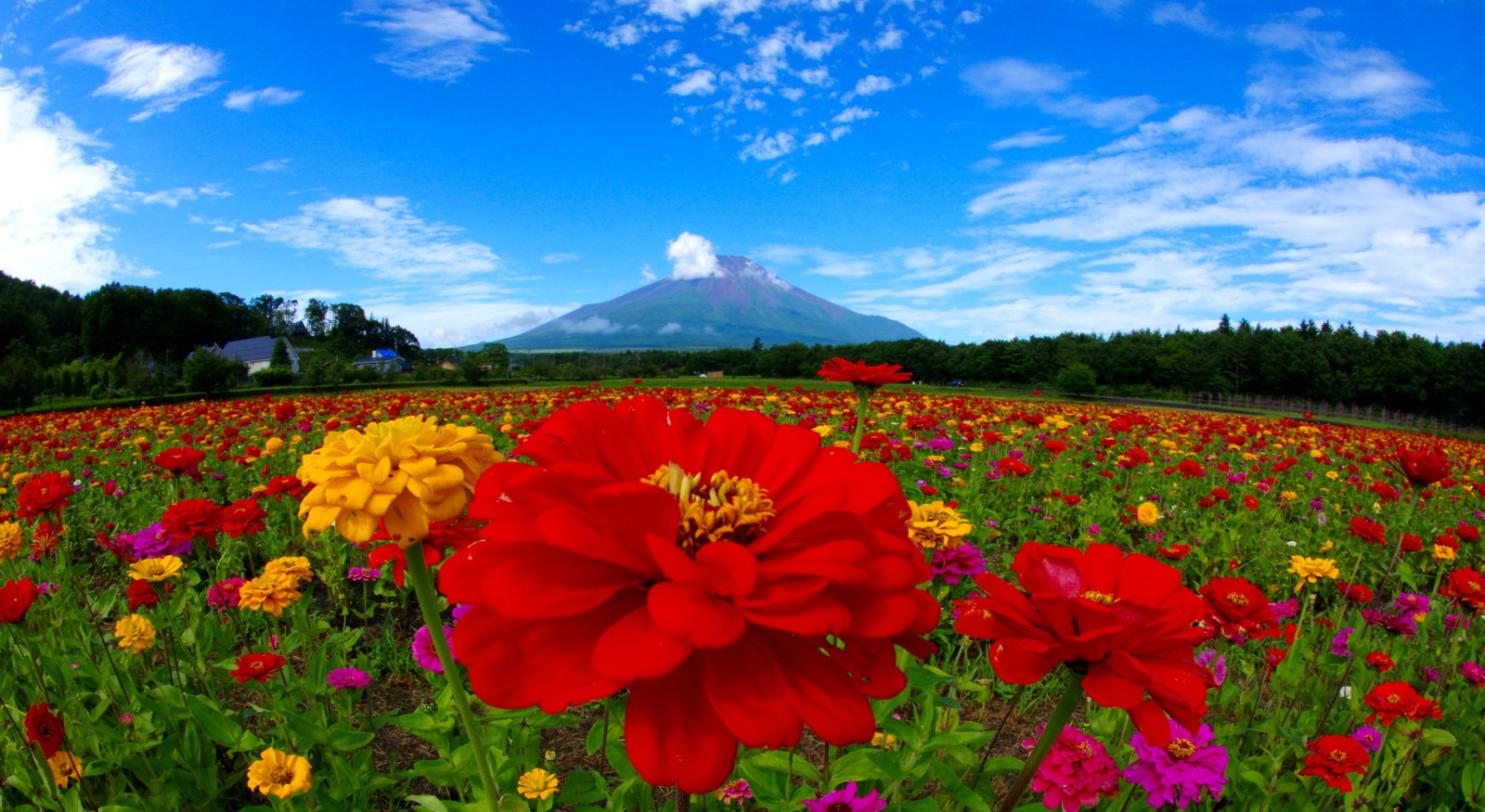 富士山画像記録