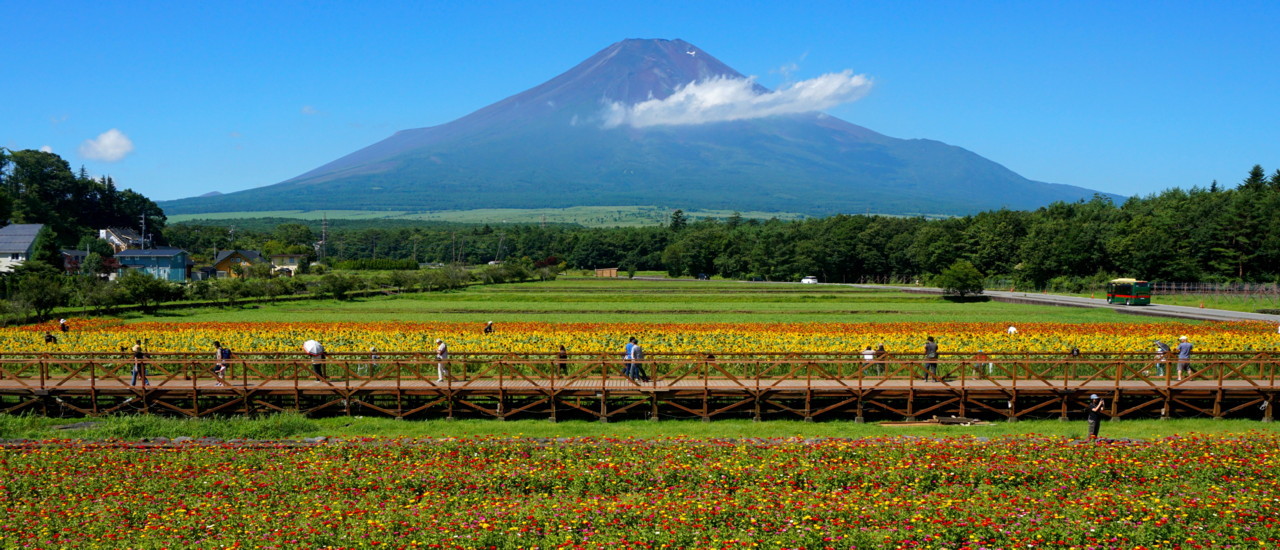 富士山画像記録