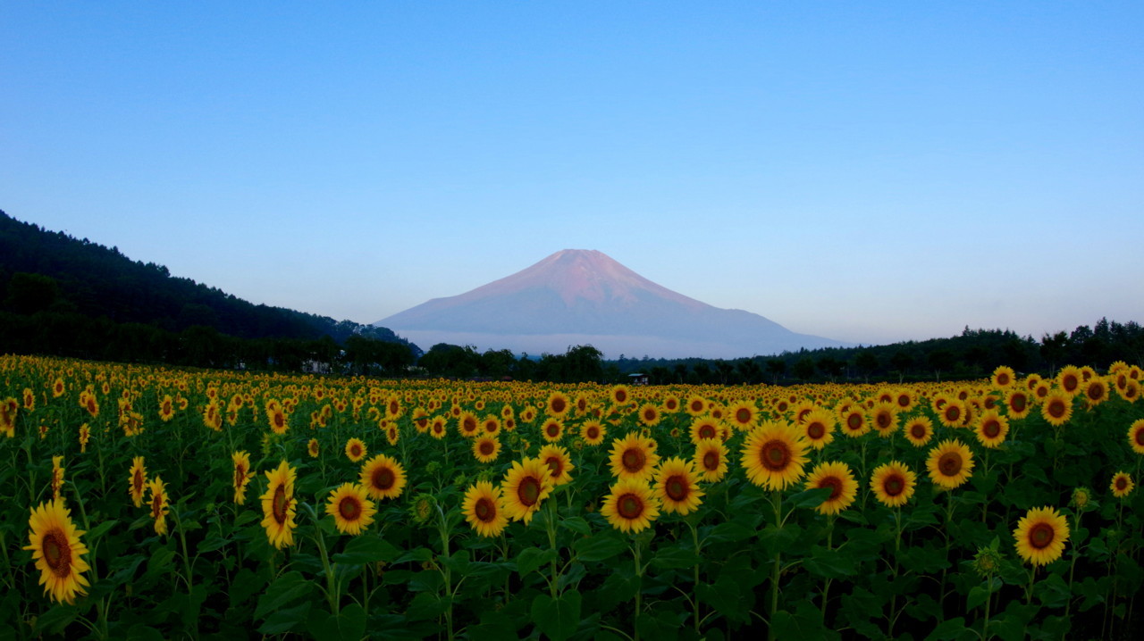 富士山画像記録