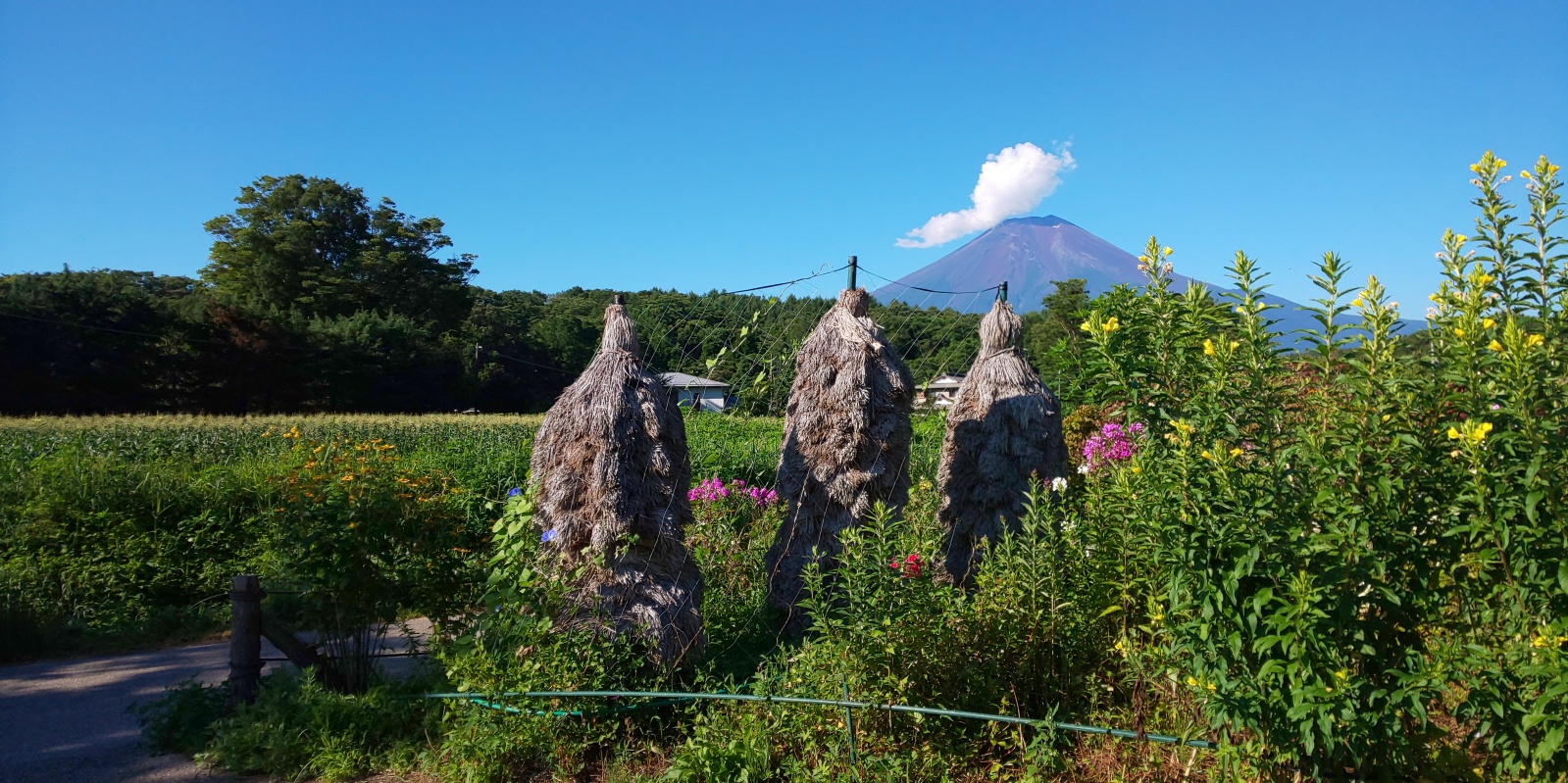 富士山周辺風景