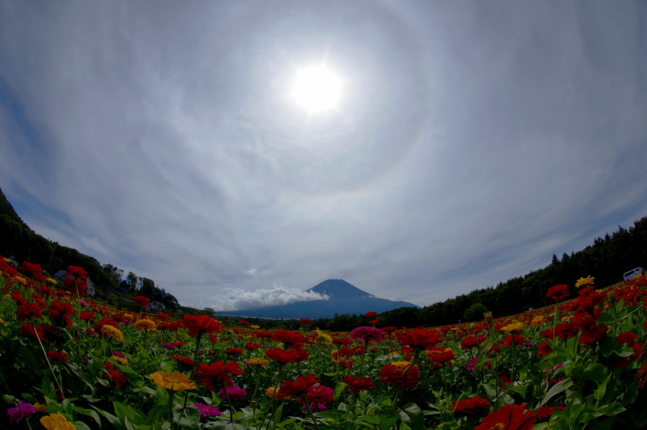 富士山画像記録