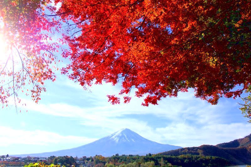 富士山画像記録