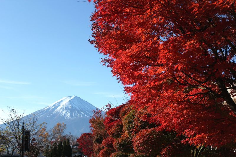 富士山画像記録