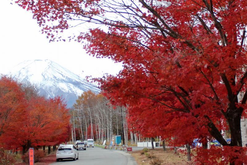 富士山画像記録