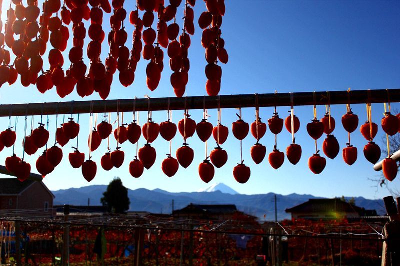 富士山画像記録