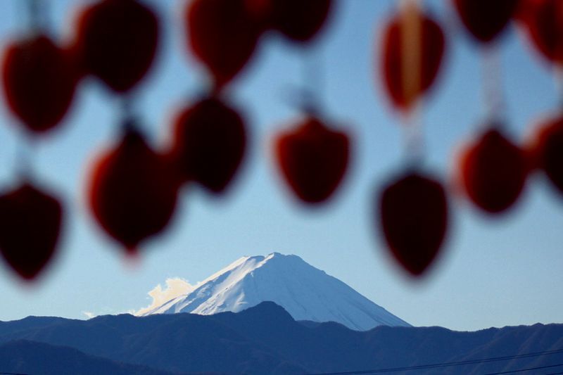 富士山画像記録