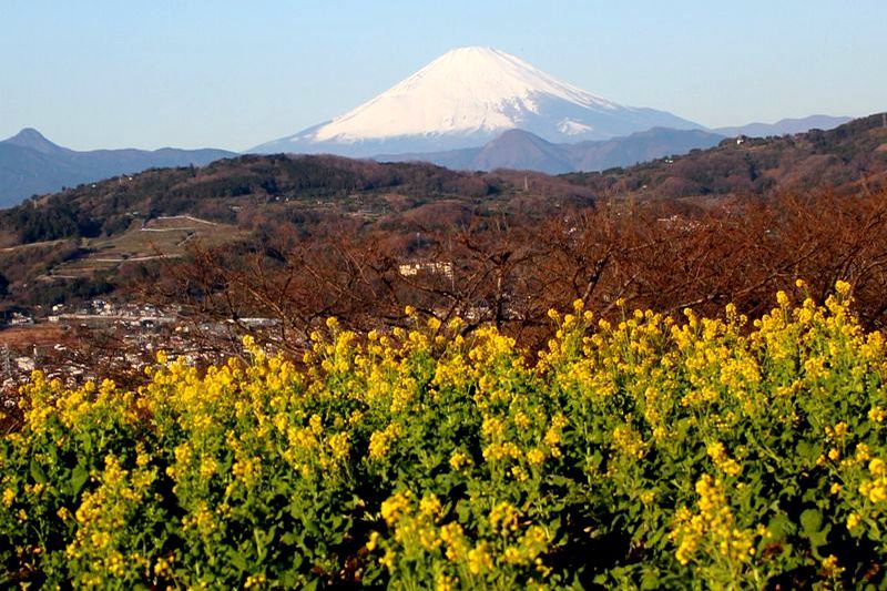 富士山画像記録