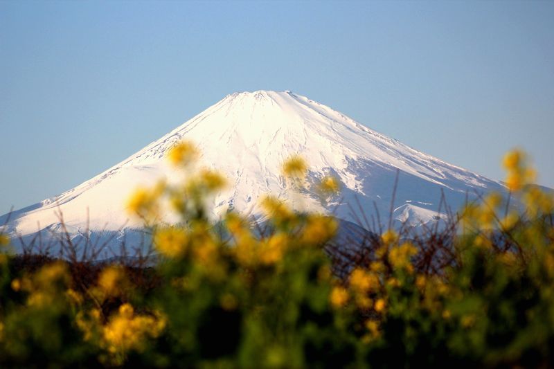 富士山画像記録