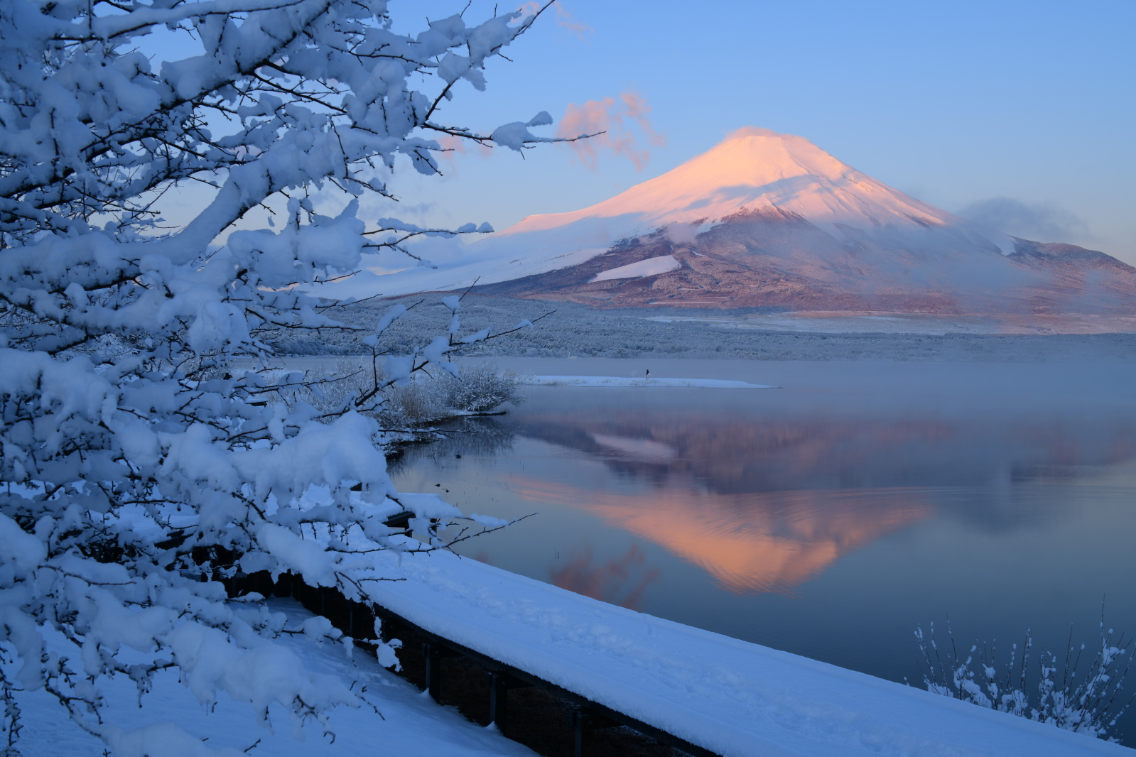 富士山画像記録