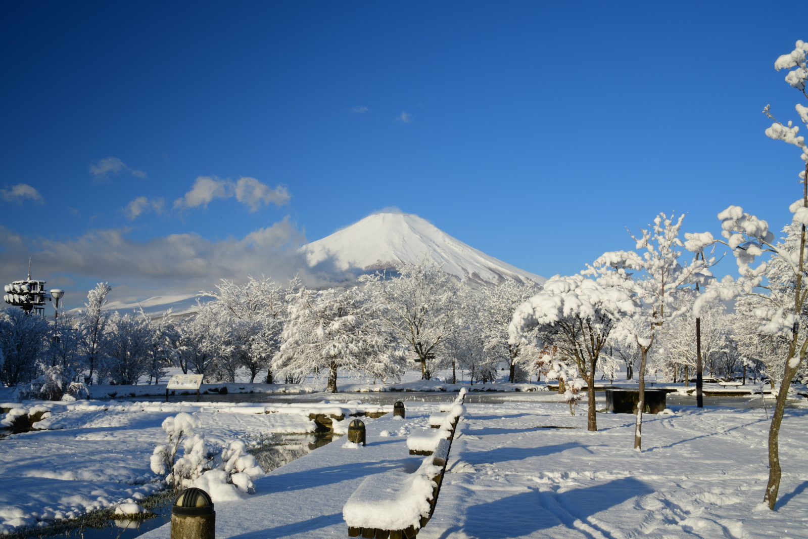 富士山画像記録