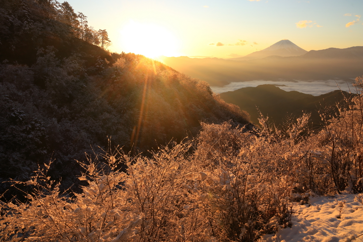 富士山画像記録