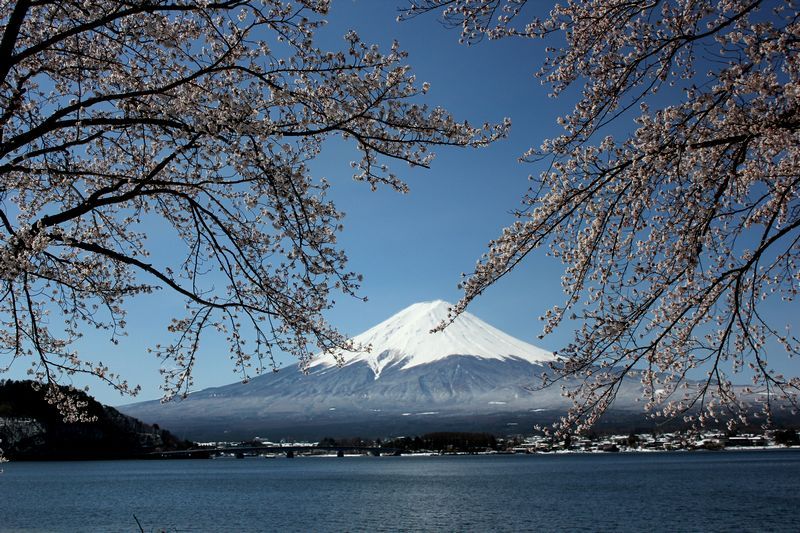 富士山画像記録