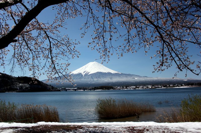 富士山画像記録