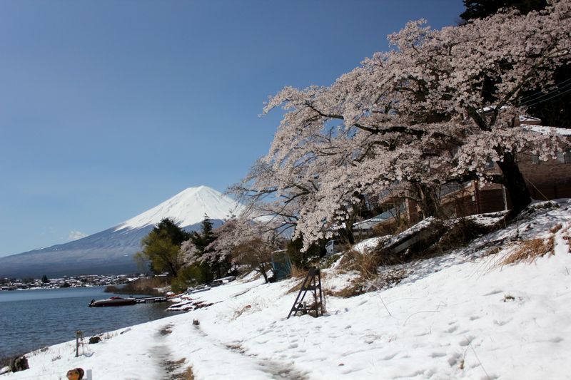 富士山画像記録