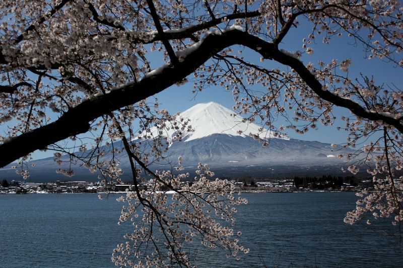 富士山画像記録