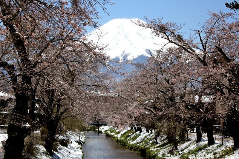 富士山画像記録