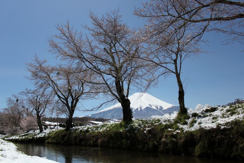富士山画像記録