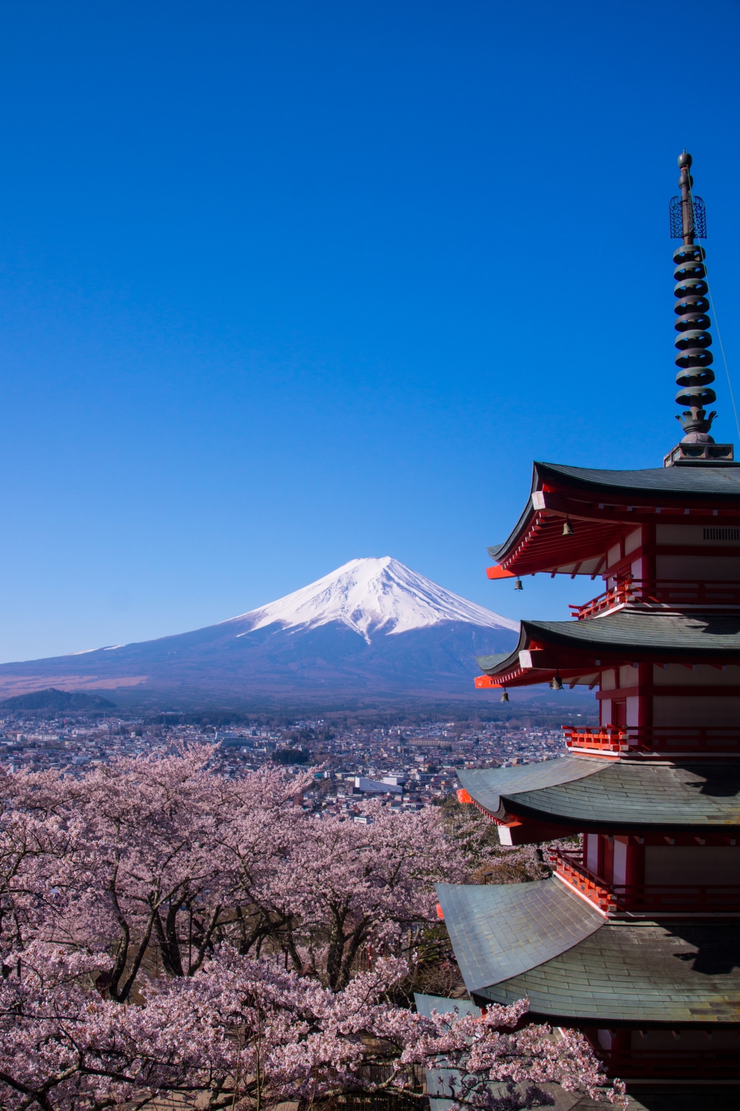 富士山画像作品