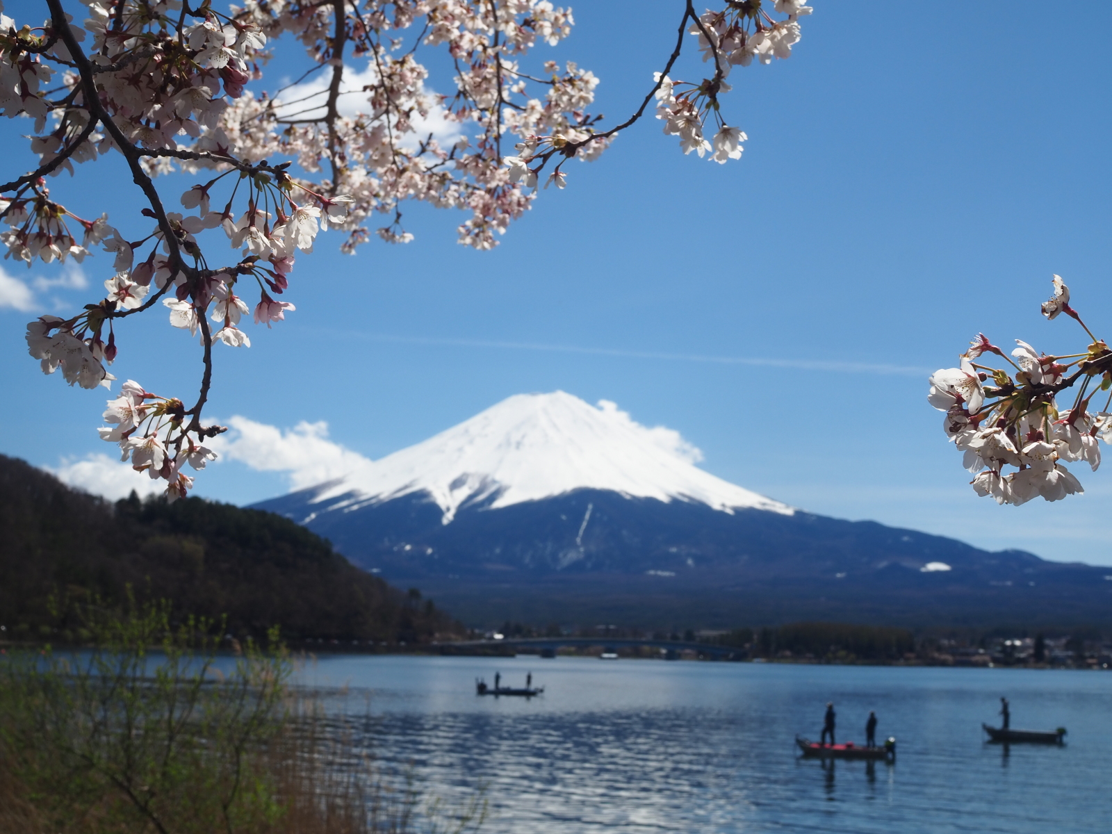 富士山画像記録