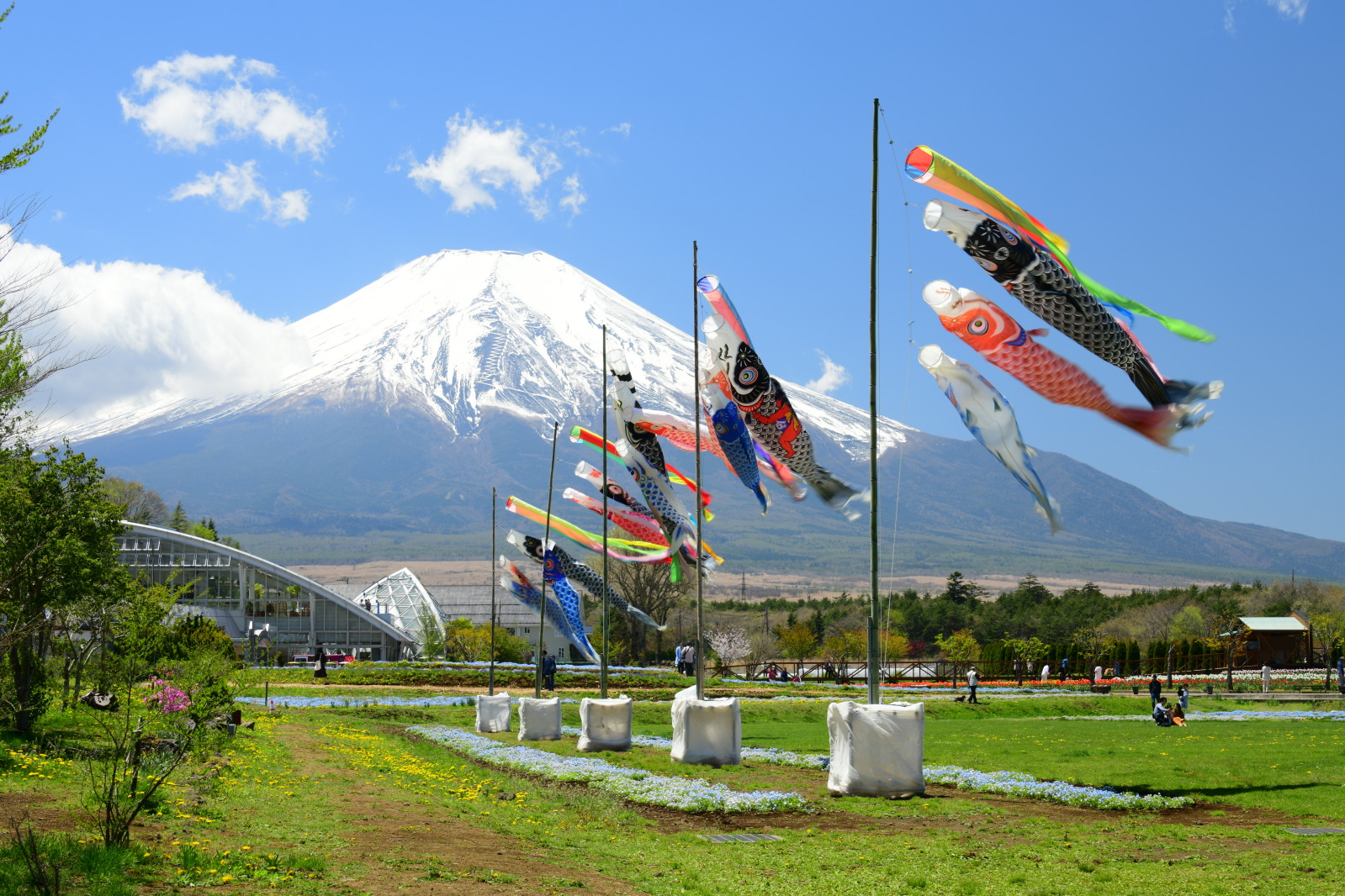 富士山画像記録