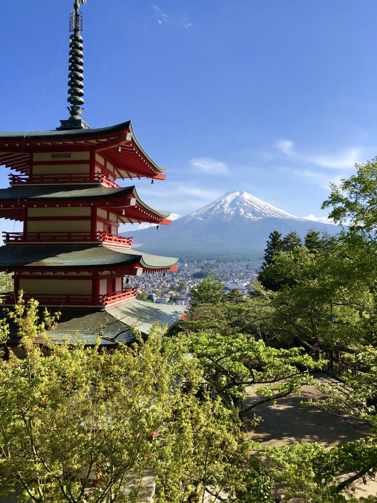 富士山画像記録