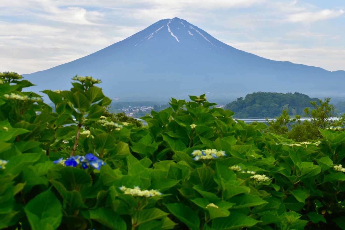 富士山画像記録
