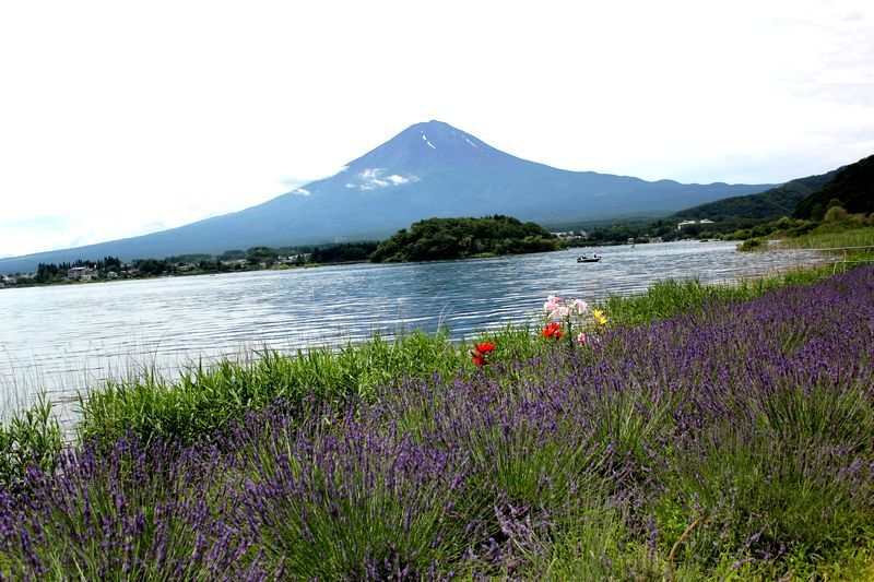 富士山画像記録