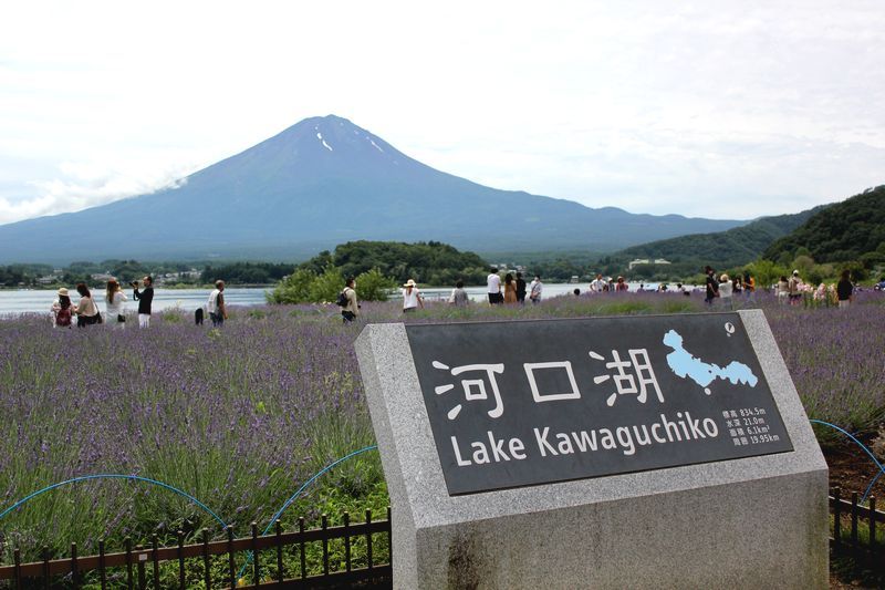 富士山画像記録