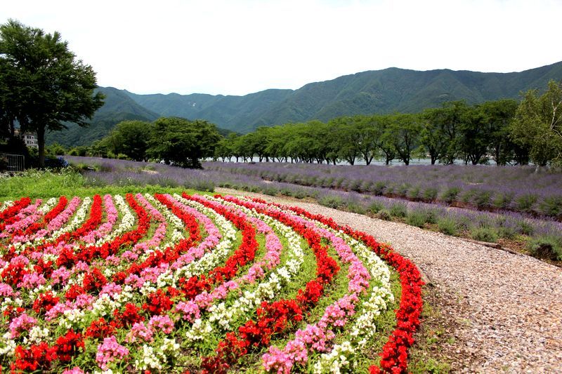 富士山画像記録