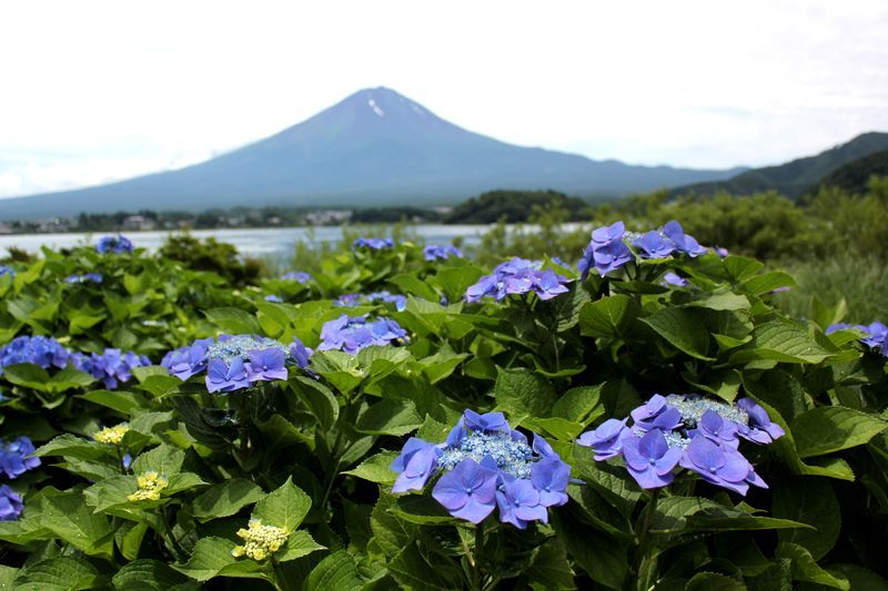 富士山画像記録