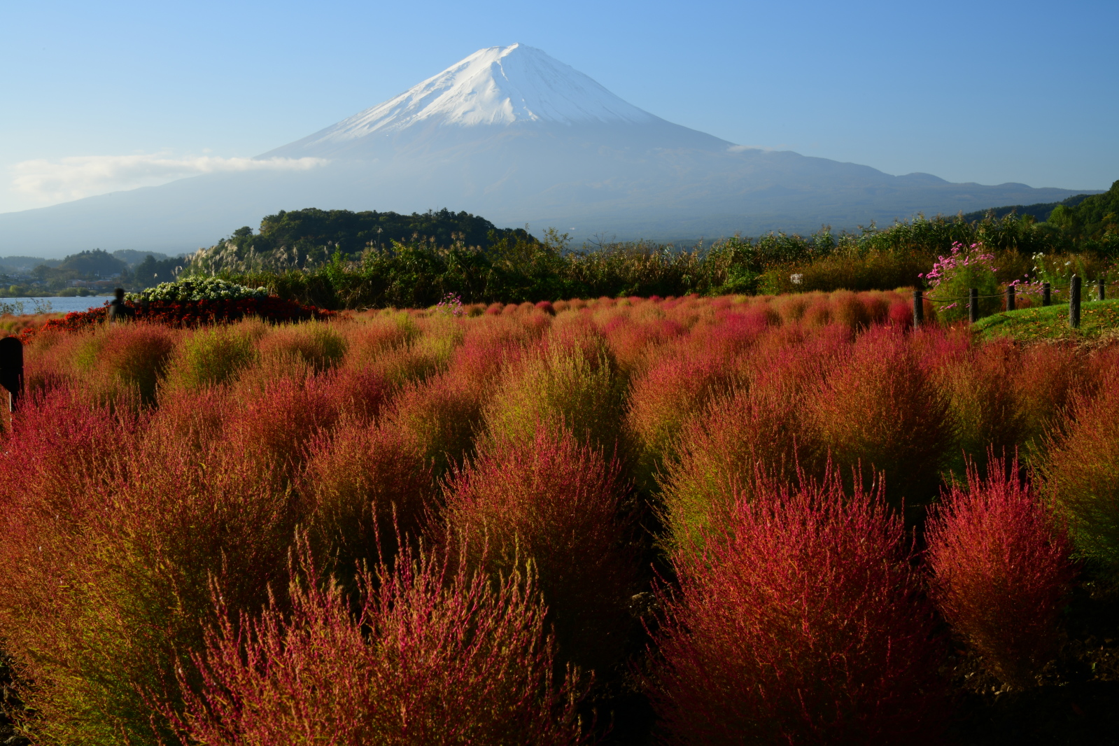 富士山画像記録