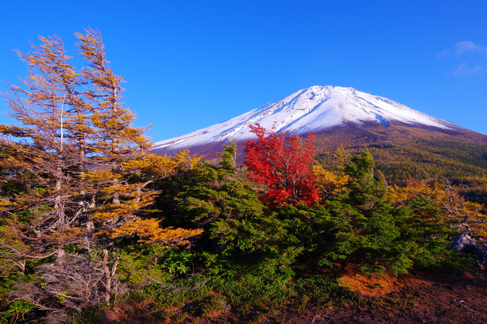 富士山画像記録