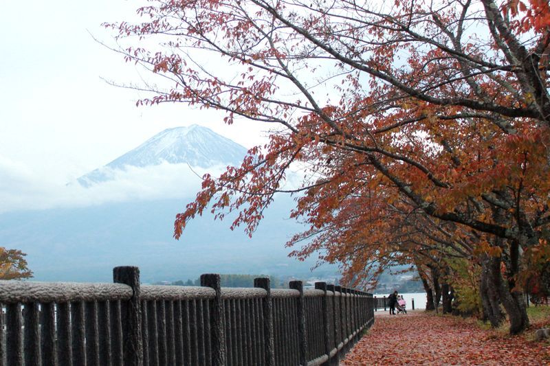富士山画像記録
