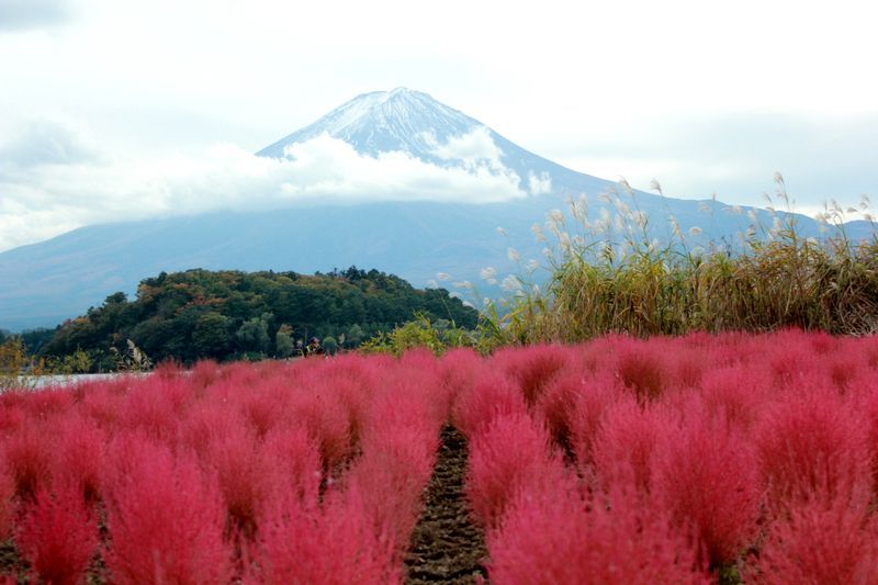 富士山画像記録