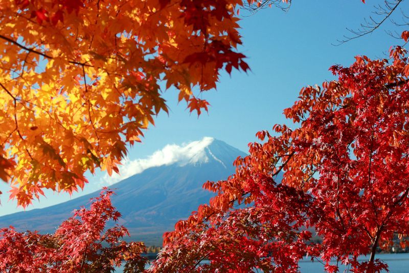 富士山画像記録