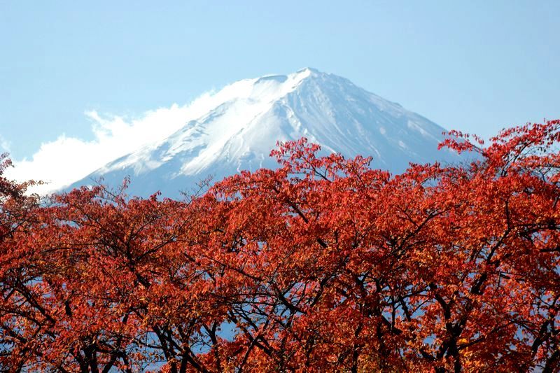 富士山画像記録