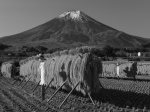 富士山写真集-投稿画像集