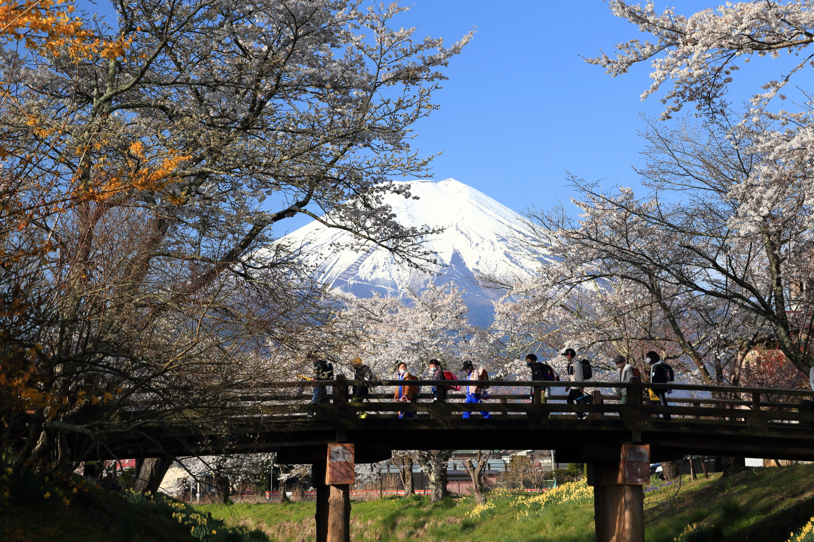 富士山画像作品