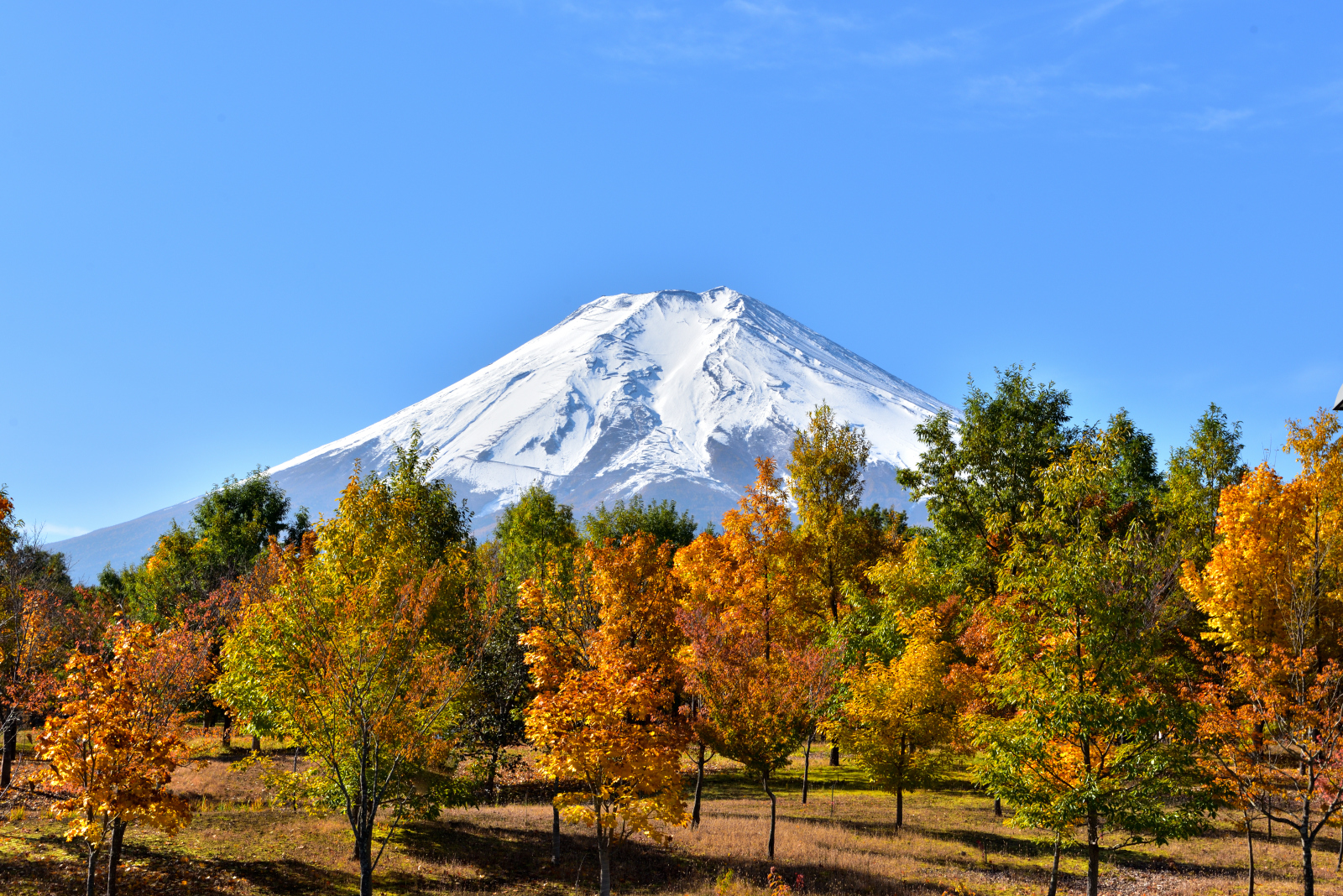 富士山画像作品