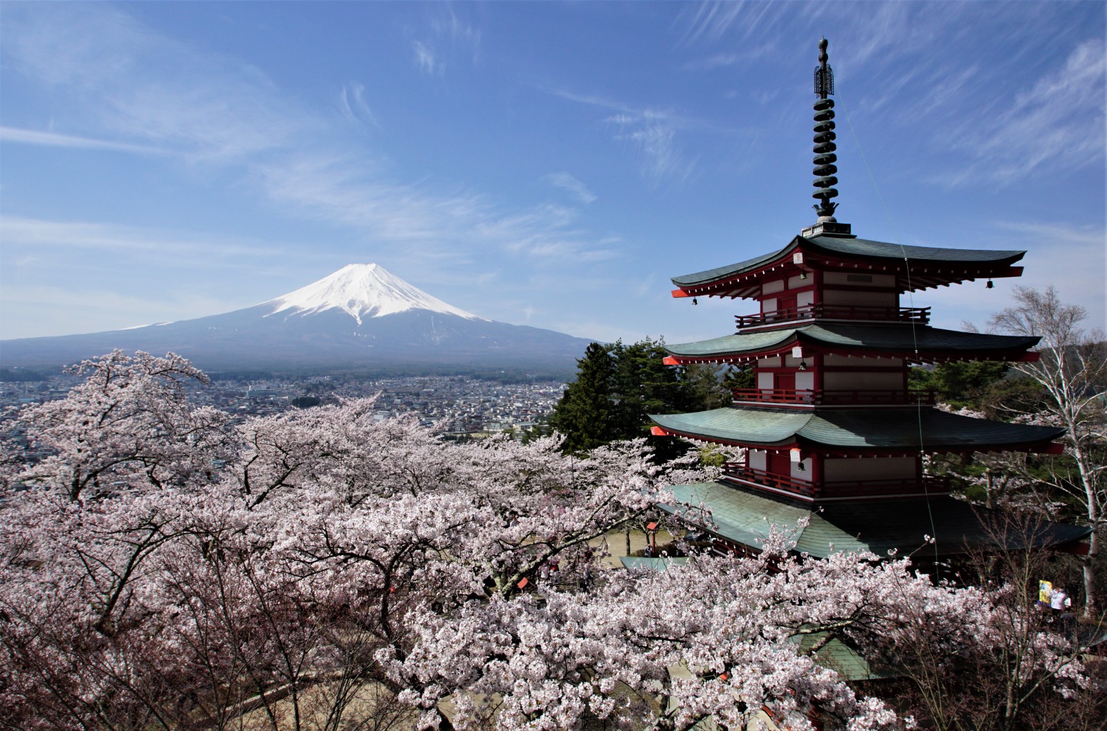 富士山画像記録