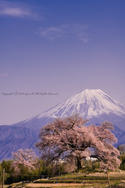 富士山画像記録
