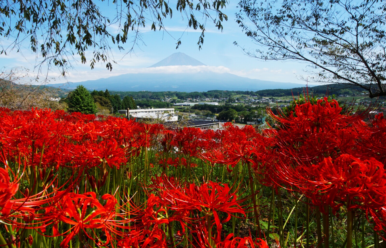 富士山画像記録