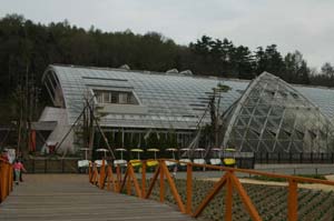 山中湖・花の都公園