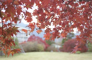 富士ビューホテル