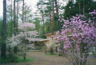 河口湖オートキャンプ場